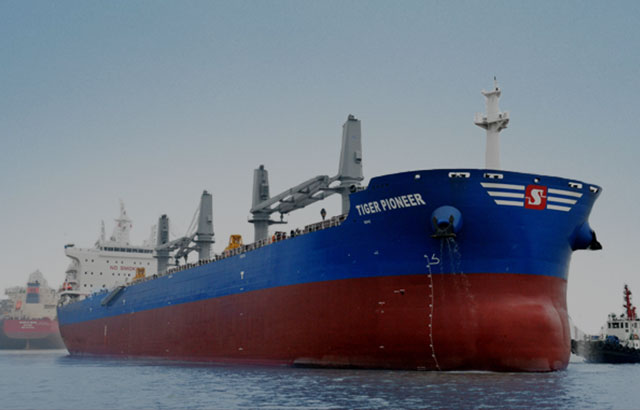 Bulk Carriers thumb