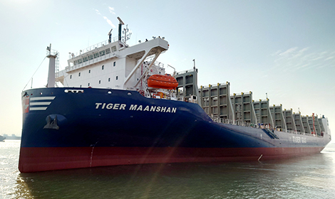 Tiger Maanshan